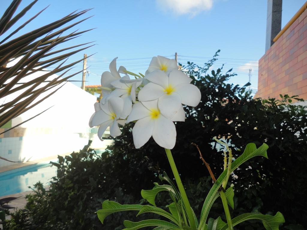 Pousada Oasis Guest house 2*